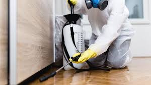 Reliable Fresno, TX Pest Control Solutions